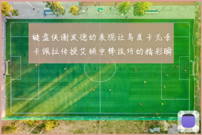 键盘侠谢泼德的表现让乌度卡无奈卡佩拉传授艾顿中锋技巧的精彩瞬间